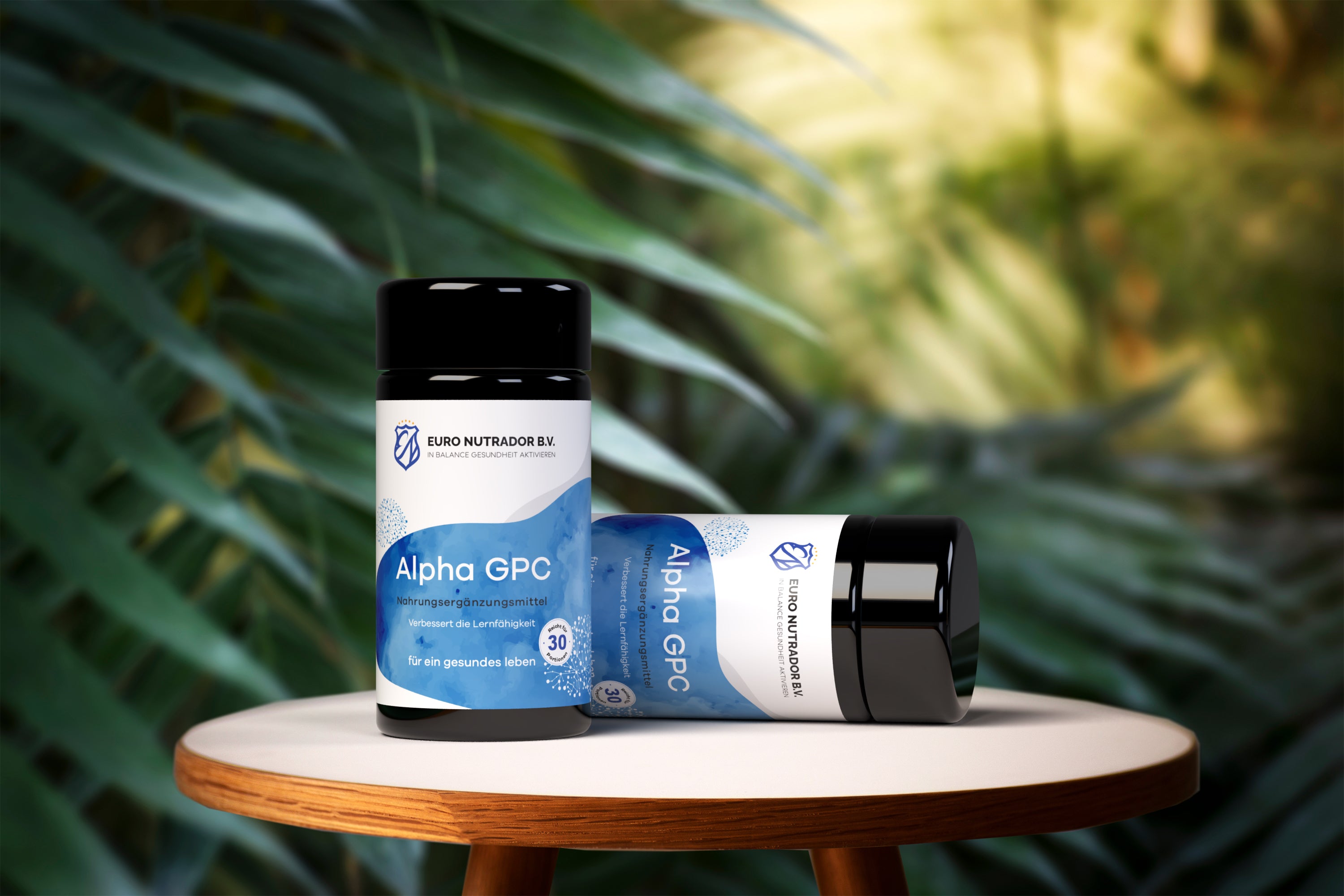 Alpha GPC - Nahrungsergänzungsmittel für ein gesundes Hirn, Nootropika, Besseres Gedächtnis mit Alpha GPC